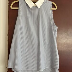 Ladies Theory Sleeveless Pinstripe Blouse in Blue and White